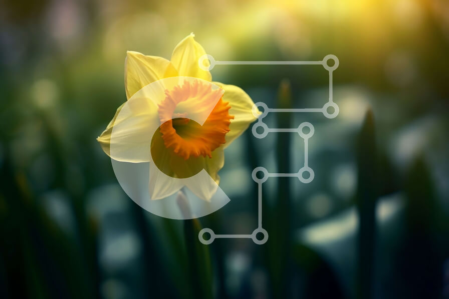 Intra Συλλεκτικό Ξύλινο Παζλ Plywood  4mm - Όμορφη εικόνα ενός κίτρινου λουλουδιού ασφόδελου με πράσινα φύλλα Σε Ξύλινο Κουτί - Διαστάσεις: 10x10 cm – 25 κομμάτια