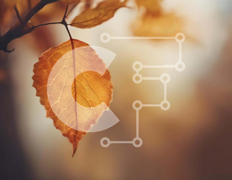 Intra Συλλεκτικό Ξύλινο Παζλ Plywood  4mm - Μονό κίτρινο φθινοπωρινό φύλλο που κρέμεται από κλαδί δέντρου Σε Ξύλινο Κουτί - Διαστάσεις: 10x10 cm – 25 κομμάτια