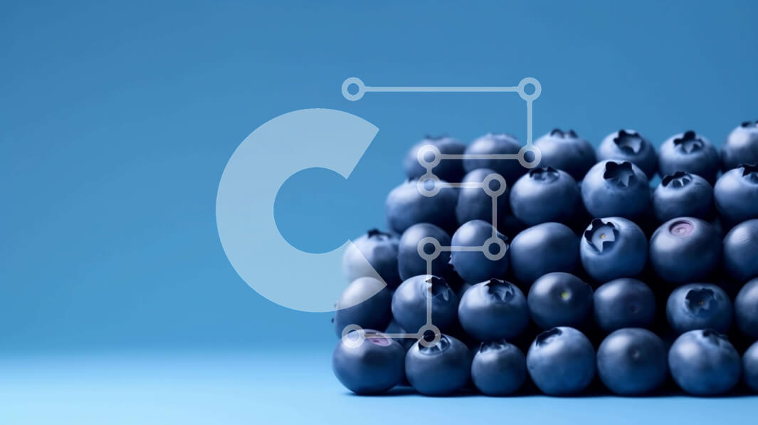 Σετ των 2 Intra Συλλεκτικό Ξύλινο Παζλ Plywood  4mm - Σωρός από βατόμουρα - φρέσκα και νόστιμα Σε Ξύλινο Κουτί - Διαστάσεις: 10x10 cm – 25 κομμάτια