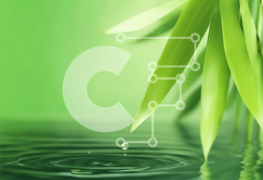 Intra Συλλεκτικό Ξύλινο Παζλ Plywood  4mm - Κοντινό πλάνο φύλλων μπαμπού με σταγονίδια νερού Σε Ξύλινο Κουτί - Διαστάσεις: 10x10 cm – 25 κομμάτια