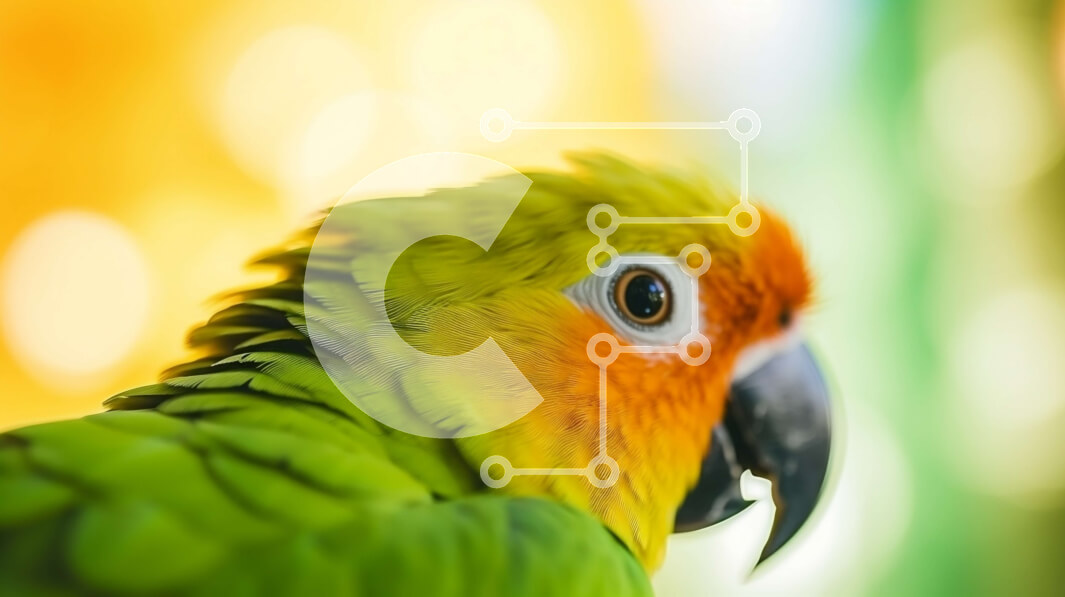 Σετ των 2 Intra Συλλεκτικό Ξύλινο Παζλ Plywood  4mm - Πράσινος και πορτοκαλί παπαγάλος που στέκεται στο προσκήνιο Σε Ξύλινο Κουτί - Διαστάσεις: 10x10 cm – 25 κομμάτια