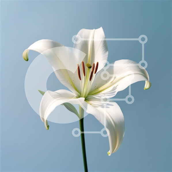 Intra Συλλεκτικό Ξύλινο Παζλ Plywood  4mm - Όμορφη εικόνα ενός λουλουδιού λευκού κρίνου Σε Ξύλινο Κουτί - Διαστάσεις: 10x10 cm – 25 κομμάτια