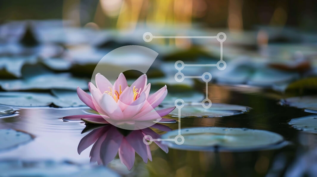 Intra Συλλεκτικό Ξύλινο Παζλ Plywood  4mm - Μονό ροζ νούφαρο σε μια λίμνη Σε Ξύλινο Κουτί - Διαστάσεις: 10x10 cm – 25 κομμάτια