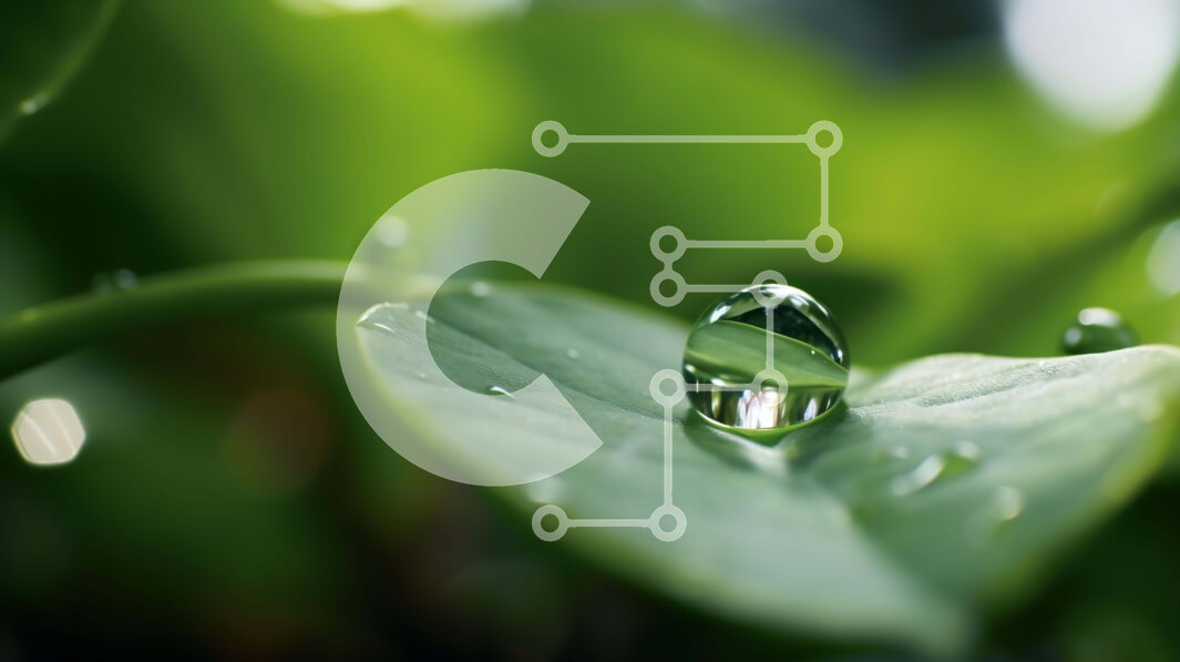 Intra Συλλεκτικό Ξύλινο Παζλ Plywood  4mm - Μακρο πλάνο σταγόνα νερού σε πράσινο φύλλο Σε Ξύλινο Κουτί - Διαστάσεις: 10x10 cm – 25 κομμάτια