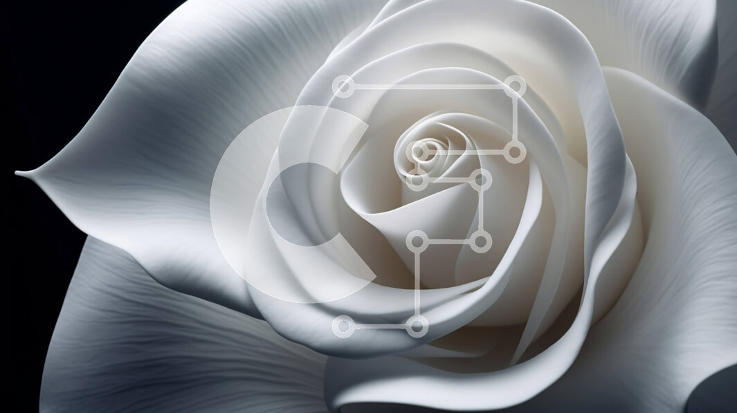 Intra Συλλεκτικό Ξύλινο Παζλ Plywood  4mm - Περίπλοκες λεπτομέρειες ενός λευκού τριαντάφυλλου Σε Ξύλινο Κουτί - Διαστάσεις: 10x10 cm – 25 κομμάτια