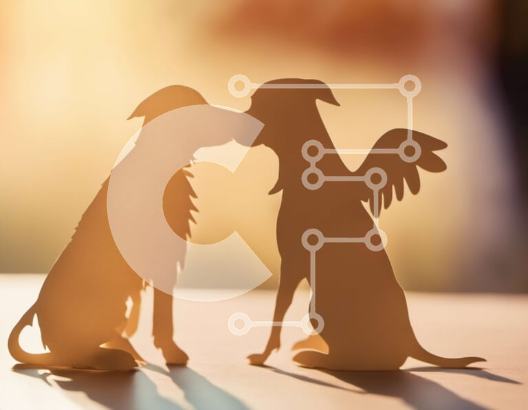 Σετ των 2 Intra Συλλεκτικό Ξύλινο Παζλ Plywood  4mm - Δύο σκυλιά - Γκόλντεν Ριτρίβερ και Χάσκι Σε Ξύλινο Κουτί - Διαστάσεις: 10x10 cm – 25 κομμάτια