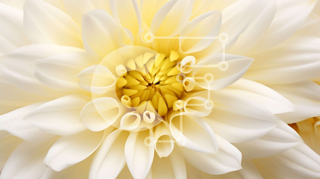 Intra Συλλεκτικό Ξύλινο Παζλ Plywood  4mm - Μεγάλο λευκό λουλούδι με κίτρινα κέντρα Σε Ξύλινο Κουτί - Διαστάσεις: 10x10 cm – 25 κομμάτια