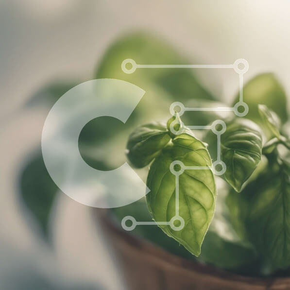 Intra Συλλεκτικό Ξύλινο Παζλ Plywood  4mm - Κοντινό πλάνο των πράσινων φύλλων σε ένα φυτό σε γλάστρα Σε Ξύλινο Κουτί - Διαστάσεις: 10x10 cm – 25 κομμάτια