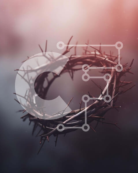 Intra Συλλεκτικό Ξύλινο Παζλ Plywood  4mm - Crown of Thorns σε αφηρημένο φόντο Σε Ξύλινο Κουτί - Διαστάσεις Puzzle: 10x10 cm – 25 κομμάτια