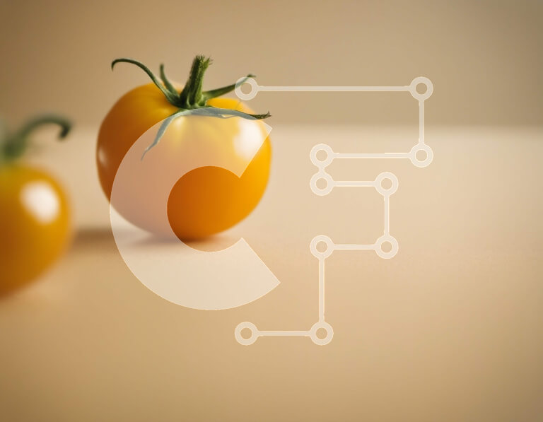 Σετ των 2 Intra Συλλεκτικό Ξύλινο Παζλ Plywood  4mm - Κίτρινες ντομάτες σε μπεζ τραπέζι Σε Ξύλινο Κουτί - Διαστάσεις: 10x10 cm – 25 κομμάτια