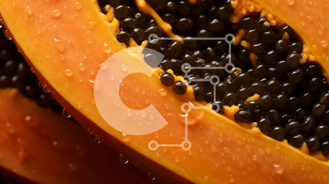 Σετ των 2 Intra Συλλεκτικό Ξύλινο Παζλ Plywood  4mm - Μισοκομμένη ώριμη παπάγια με σάρκα πορτοκαλιού και μαύρους σπόρους Σε Ξύλινο Κουτί - Διαστάσεις: 10x10 cm – 25 κομμάτια