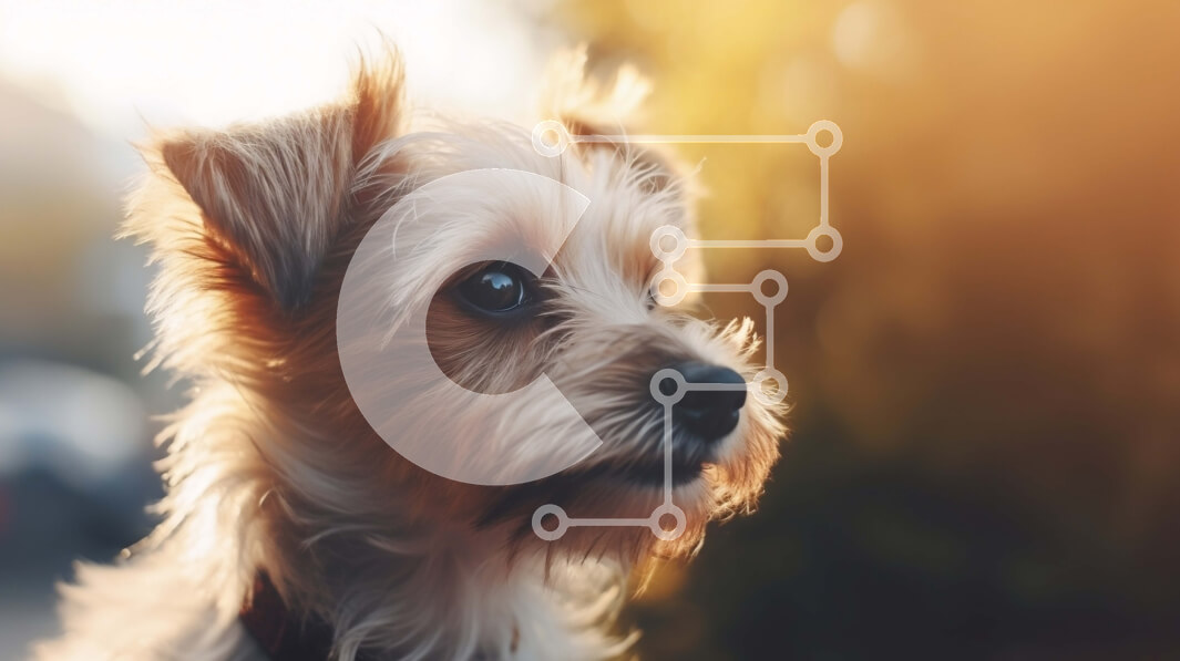 Σετ των 2 Intra Συλλεκτικό Ξύλινο Παζλ Plywood  4mm - Αξιολάτρευτο καφέ και λευκό σκυλί που απολαμβάνει τον ήλιο Σε Ξύλινο Κουτί - Διαστάσεις: 10x10 cm – 25 κομμάτια