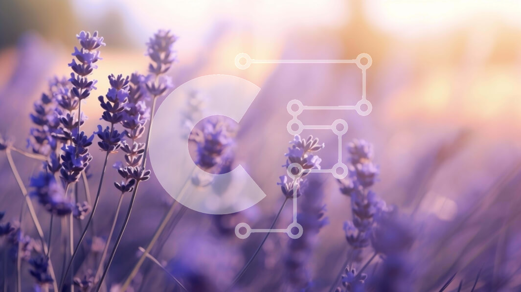 Intra Συλλεκτικό Ξύλινο Παζλ Plywood  4mm - Πεδίο Λεβάντας στην Ανατολή Σε Ξύλινο Κουτί - Διαστάσεις: 10x10 cm – 25 κομμάτια