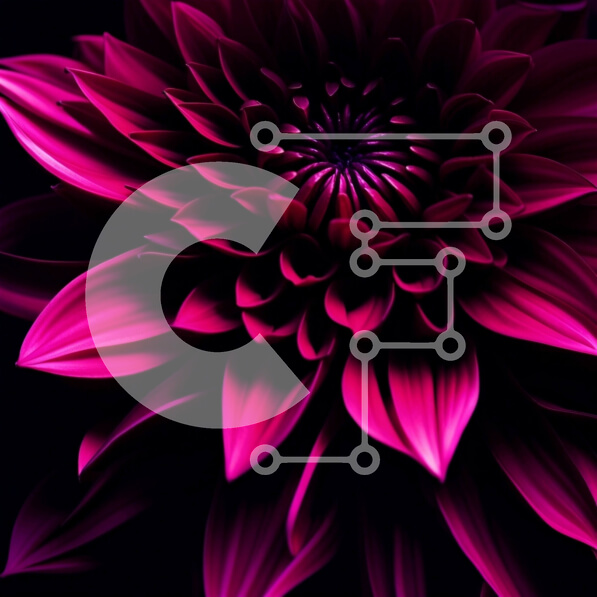 Intra Συλλεκτικό Ξύλινο Παζλ Plywood  4mm - Όμορφη εικόνα ενός ροζ λουλουδιού σε σχήμα αστεριού Σε Ξύλινο Κουτί - Διαστάσεις: 10x10 cm – 25 κομμάτια