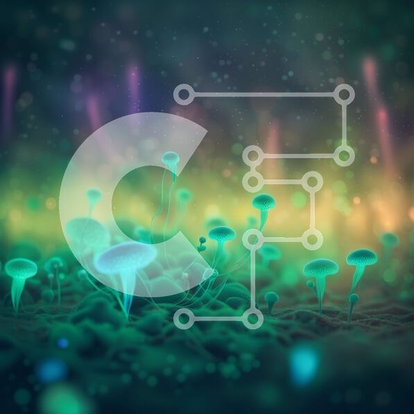 Intra Συλλεκτικό Ξύλινο Παζλ Plywood  4mm - Λαμπερά μανιτάρια σε ένα σκοτεινό δάσος Σε Ξύλινο Κουτί - Διαστάσεις: 10x10 cm – 25 κομμάτια