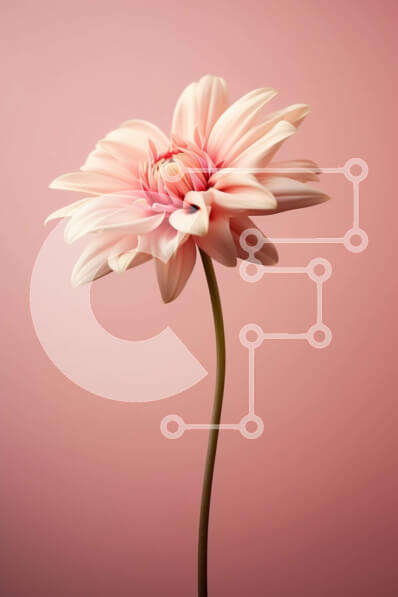 Σετ των 2 Intra Συλλεκτικό Ξύλινο Παζλ Plywood  4mm - Μονό ροζ λουλούδι σε ροζ φόντο Σε Ξύλινο Κουτί - Διαστάσεις: 10x10 cm – 25 κομμάτια