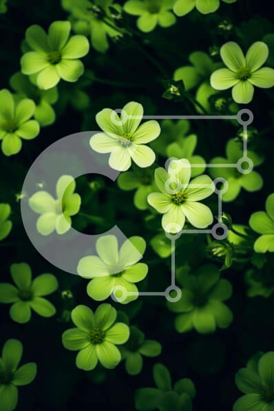 Σετ των 2 Intra Συλλεκτικό Ξύλινο Παζλ Plywood  4mm - Πράσινα λουλούδια στο σκοτάδι Σε Ξύλινο Κουτί - Διαστάσεις: 10x10 cm – 25 κομμάτια