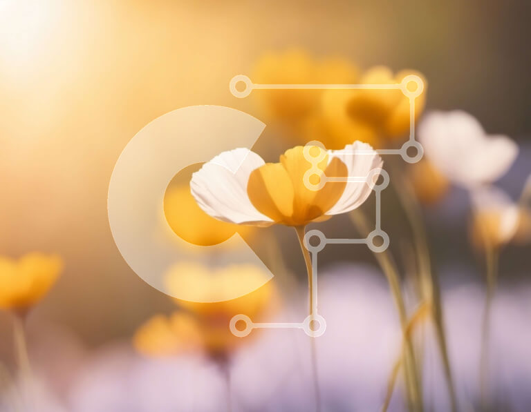 Intra Συλλεκτικό Ξύλινο Παζλ Plywood  4mm - Πεδίο με κίτρινα και λευκά λουλούδια με λαμπερό ήλιο στο φόντο Σε Ξύλινο Κουτί - Διαστάσεις: 10x10 cm – 25 κομμάτια