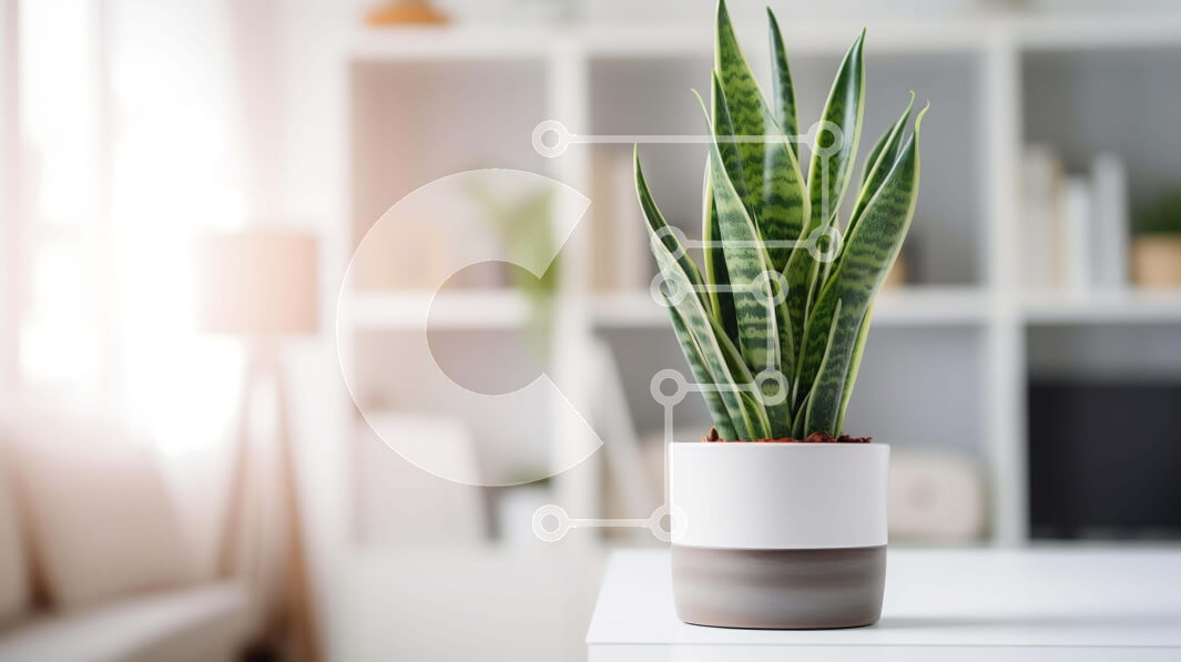 Intra Συλλεκτικό Ξύλινο Παζλ Plywood  4mm - Φυτό σε γλάστρα στο σαλόνι Σε Ξύλινο Κουτί - Διαστάσεις Puzzle: 10x10 cm – 25 κομμάτια