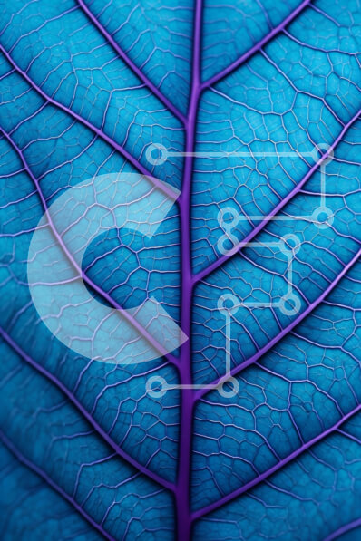 Σετ των 2 Intra Συλλεκτικό Ξύλινο Παζλ Plywood  4mm - Κοντινή όψη του φωτεινού μπλε φύλλου με περίπλοκες φλέβες Σε Ξύλινο Κουτί - Διαστάσεις: 10x10 cm – 25 κομμάτια