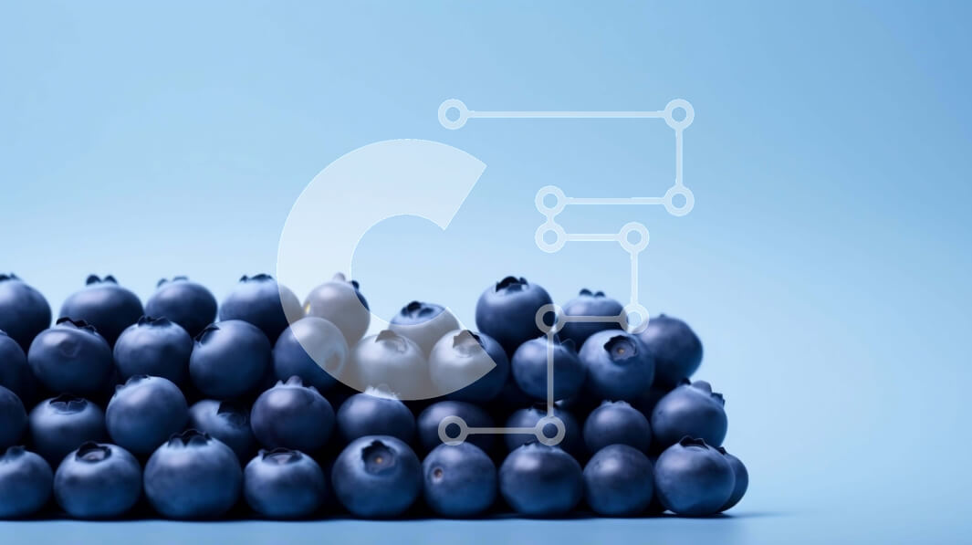 Σετ των 2 Intra Συλλεκτικό Ξύλινο Παζλ Plywood  4mm - Σωρός από φρέσκα βατόμουρα Σε Ξύλινο Κουτί - Διαστάσεις: 10x10 cm – 25 κομμάτια