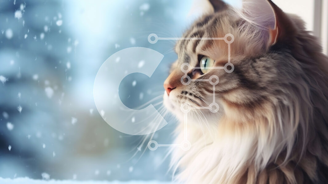 Intra Συλλεκτικό Ξύλινο Παζλ Plywood  4mm - Μακρυμάλλη γάτα που κοιτάζει έξω από το παράθυρο στο χιονισμένο τοπίο Σε Ξύλινο Κουτί - Διαστάσεις: 10x10 cm – 25 κομμάτια