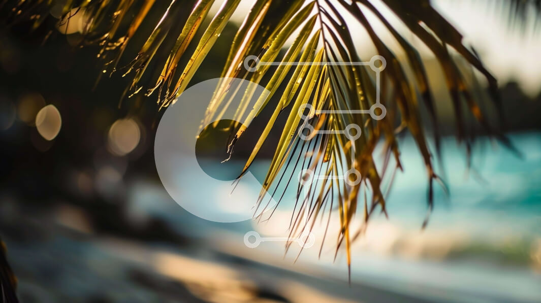 Intra Συλλεκτικό Ξύλινο Παζλ Plywood  4mm - Φοίνικας στην παραλία με νερό στο φόντο Σε Ξύλινο Κουτί - Διαστάσεις: 10x10 cm – 25 κομμάτια