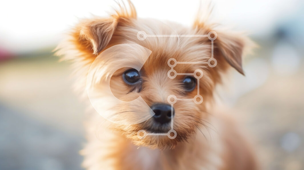 Σετ των 2 Intra Συλλεκτικό Ξύλινο Παζλ Plywood  4mm - Μικρό καφέ σκυλί με χνουδωτό τρίχωμα και περίεργη έκφραση Σε Ξύλινο Κουτί - Διαστάσεις: 10x10 cm – 25 κομμάτια