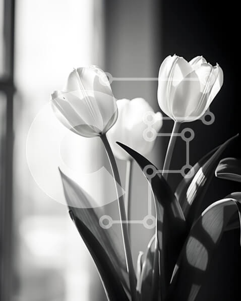 Intra Συλλεκτικό Ξύλινο Παζλ Plywood  4mm - Τρεις λευκές τουλίπες σε ασπρόμαυρο βάζο Σε Ξύλινο Κουτί - Διαστάσεις: 10x10 cm – 25 κομμάτια