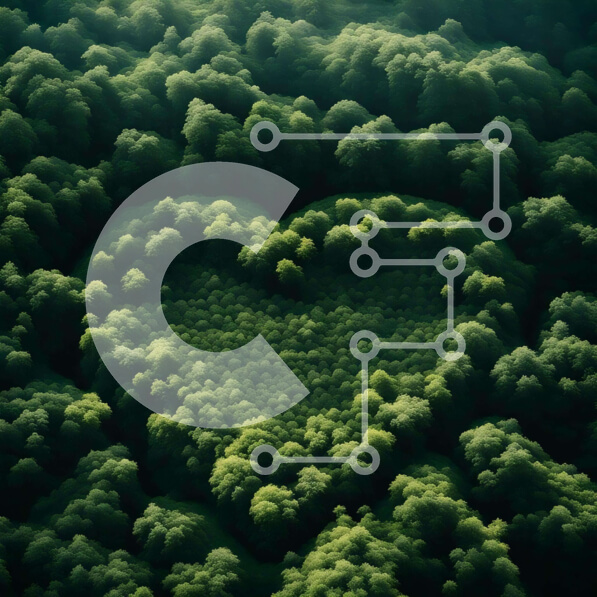 Intra Συλλεκτικό Ξύλινο Παζλ Plywood  4mm - Αεροφωτογραφία του δάσους σε σχήμα καρδιάς από πράσινα δέντρα Σε Ξύλινο Κουτί - Διαστάσεις: 10x10 cm – 25 κομμάτια