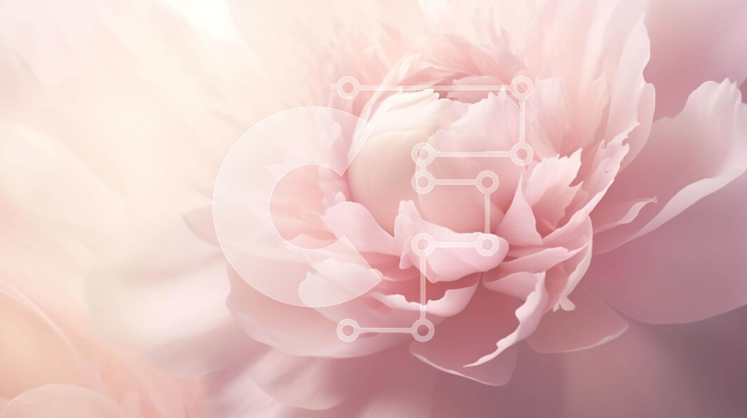 Intra Συλλεκτικό Ξύλινο Παζλ Plywood  4mm - Ροζ λουλούδι σε συνθήκες χαμηλού φωτισμού Σε Ξύλινο Κουτί - Διαστάσεις: 10x10 cm – 25 κομμάτια