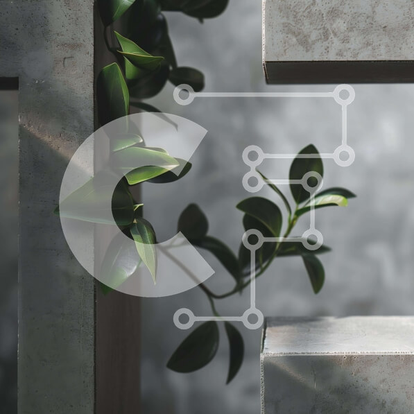 Intra Συλλεκτικό Ξύλινο Παζλ Plywood  4mm - Πράσινο φυτό που αναπτύσσεται από τσιμεντένιο τοίχο Σε Ξύλινο Κουτί - Διαστάσεις: 10x10 cm – 25 κομμάτια