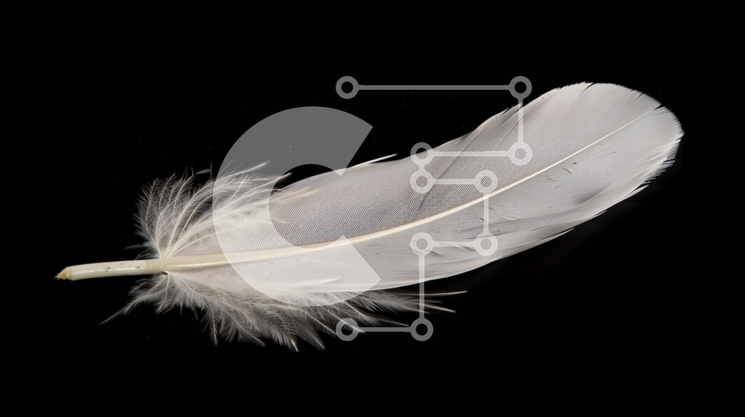 Intra Συλλεκτικό Ξύλινο Παζλ Plywood  4mm - Μονό λευκό φτερό σε μαύρο φόντο Σε Ξύλινο Κουτί - Διαστάσεις: 10x10 cm – 25 κομμάτια