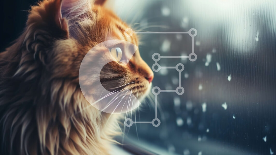 Intra Συλλεκτικό Ξύλινο Παζλ Plywood  4mm - Αφράτη πορτοκαλί γάτα που κοιτάζει έξω από το παράθυρο τις σταγόνες της βροχής Σε Ξύλινο Κουτί - Διαστάσεις: 10x10 cm – 25 κομμάτια