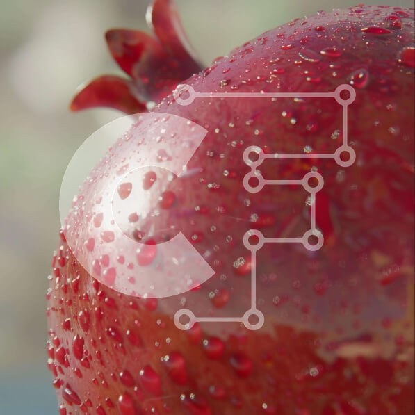 Σετ των 2 Intra Συλλεκτικό Ξύλινο Παζλ Plywood  4mm - Φρέσκο ​​ρόδι με σταγόνες νερού Σε Ξύλινο Κουτί - Διαστάσεις: 10x10 cm – 25 κομμάτια