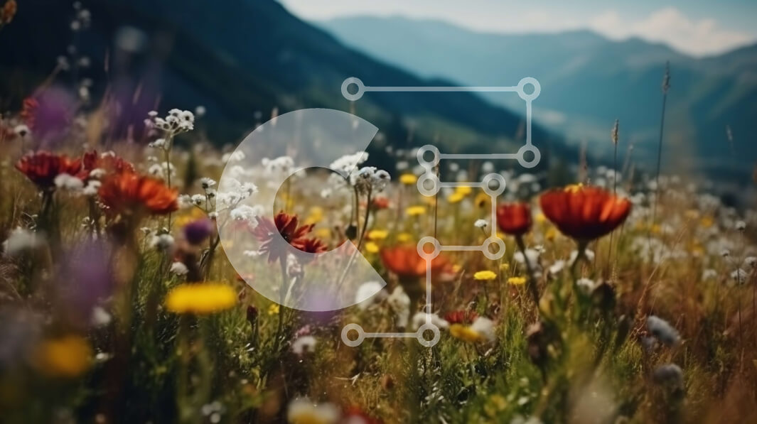 Intra Συλλεκτικό Ξύλινο Παζλ Plywood  4mm - Εκπληκτική εικόνα αγριολούλουδων σε ορεινό πεδίο Σε Ξύλινο Κουτί - Διαστάσεις: 10x10 cm – 25 κομμάτια