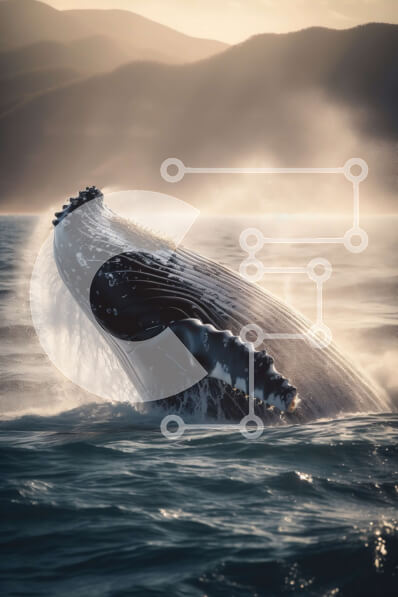 Σετ των 2 Intra Συλλεκτικό Ξύλινο Παζλ Plywood  4mm - Εκπληκτική εικόνα μιας φάλαινας που ξεφεύγει από το νερό Σε Ξύλινο Κουτί - Διαστάσεις: 10x10 cm – 25 κομμάτια