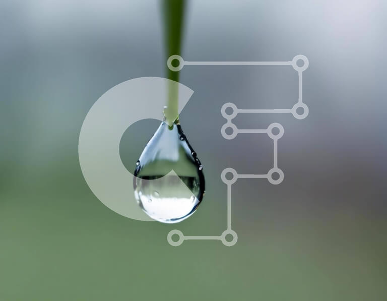 Intra Συλλεκτικό Ξύλινο Παζλ Plywood  4mm - Σταγόνα νερού Sphagnum Moss Σε Ξύλινο Κουτί - Διαστάσεις: 10x10 cm – 25 κομμάτια