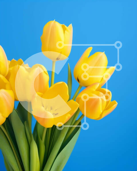 Intra Συλλεκτικό Ξύλινο Παζλ Plywood  4mm - Κίτρινες τουλίπες σε βάζο σε μπλε φόντο Σε Ξύλινο Κουτί - Διαστάσεις: 10x10 cm – 25 κομμάτια