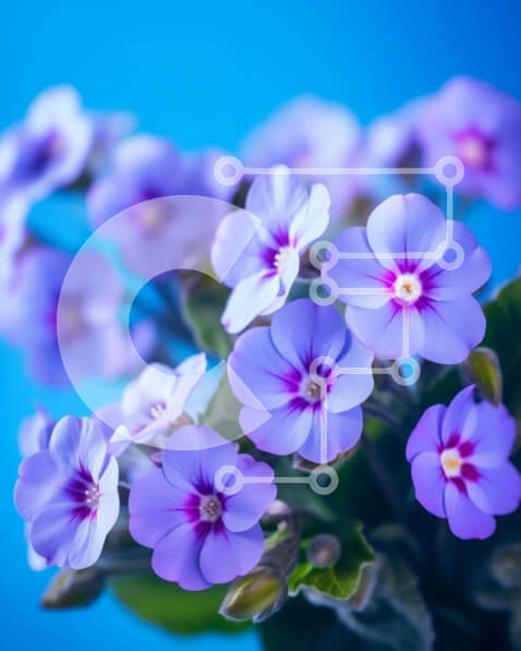 Intra Συλλεκτικό Ξύλινο Παζλ Plywood  4mm - Κοντινό πλάνο μωβ λουλούδια στην άνθιση Σε Ξύλινο Κουτί - Διαστάσεις: 10x10 cm – 25 κομμάτια