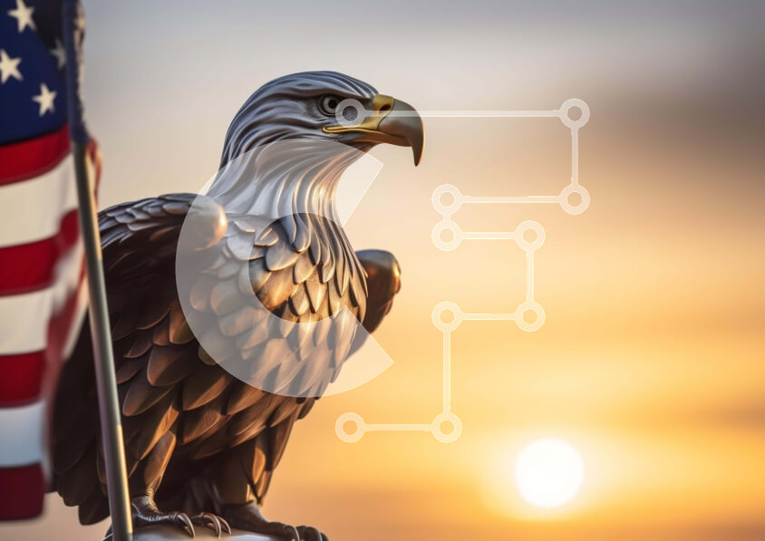 Intra Συλλεκτικό Ξύλινο Παζλ Plywood  4mm - Άγαλμα αετού με αμερικανική σημαία στο ηλιοβασίλεμα Σε Ξύλινο Κουτί - Διαστάσεις: 10x10 cm – 25 κομμάτια