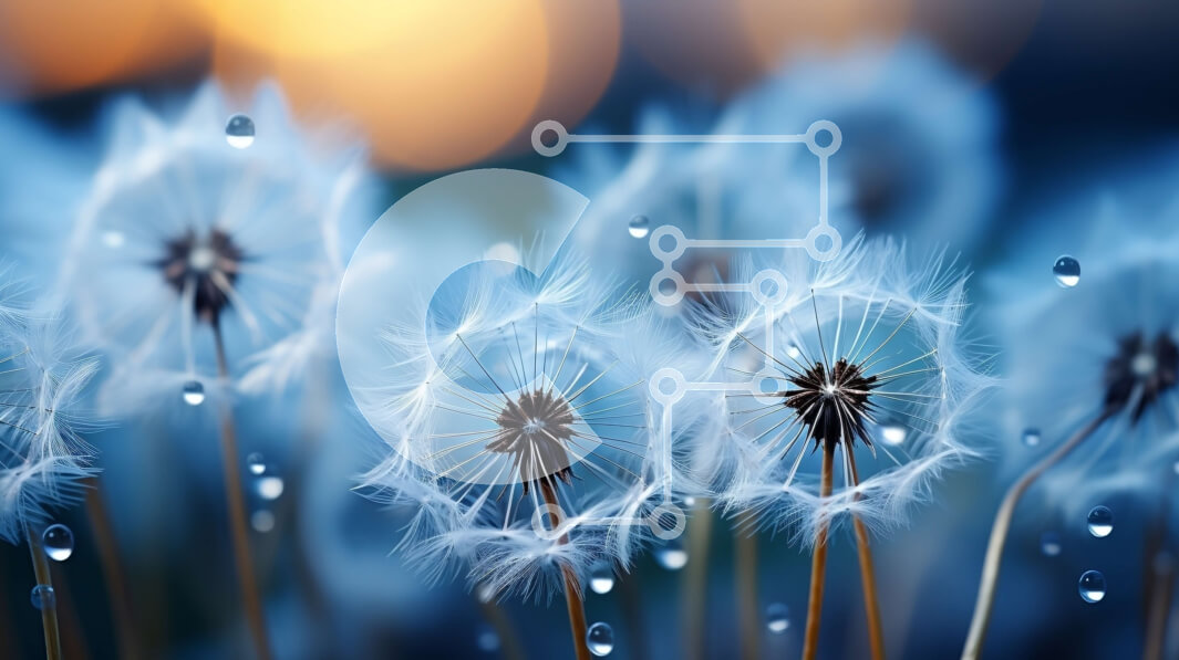 Intra Συλλεκτικό Ξύλινο Παζλ Plywood  4mm - Όμορφη κινηματογράφηση σε πρώτο πλάνο πικραλίδων με σταγονίδια νερού στο ηλιοβασίλεμα Σε Ξύλινο Κουτί - Διαστάσεις: 10x10 cm – 25 κομμάτια