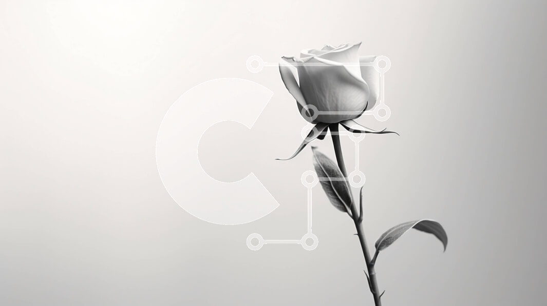 Intra Συλλεκτικό Ξύλινο Παζλ Plywood  4mm - Μονό λευκό τριαντάφυλλο σε γκρι φόντο Σε Ξύλινο Κουτί - Διαστάσεις: 10x10 cm – 25 κομμάτια