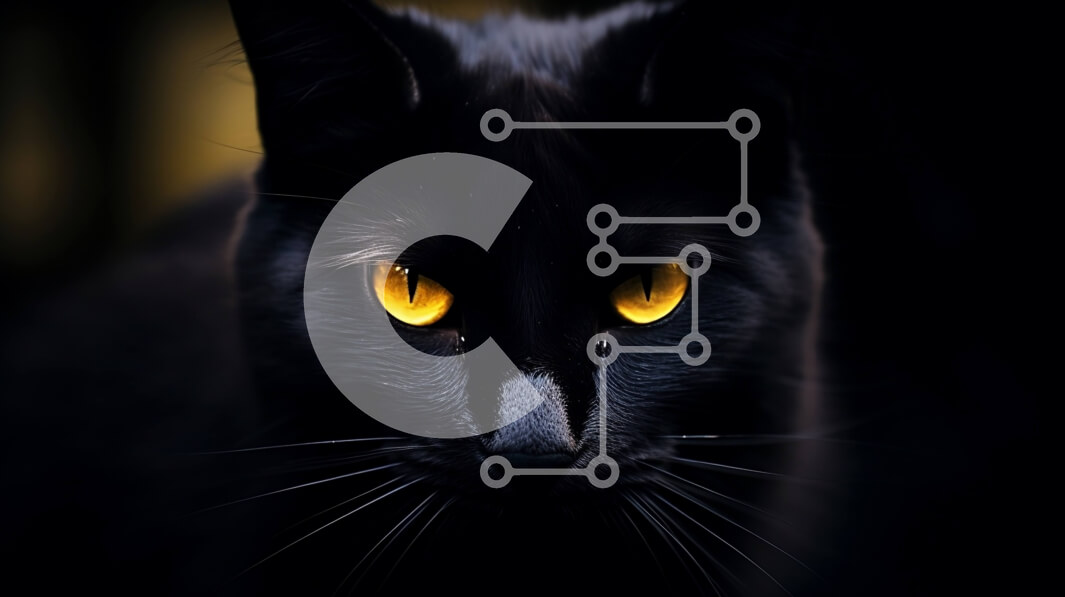 Intra Συλλεκτικό Ξύλινο Παζλ Plywood  4mm - Μαύρη γάτα με έντονα κίτρινα μάτια Σε Ξύλινο Κουτί - Διαστάσεις: 10x10 cm – 25 κομμάτια