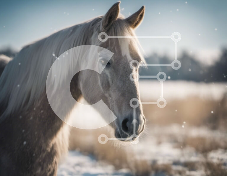 Intra Συλλεκτικό Ξύλινο Παζλ Plywood  4mm - Λευκό Άλογο στο Χιονισμένο Πεδίο Σε Ξύλινο Κουτί - Διαστάσεις: 10x10 cm – 25 κομμάτια