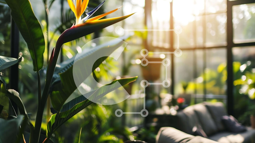 Intra Συλλεκτικό Ξύλινο Παζλ Plywood  4mm - Σαλόνι γεμάτο πράσινο με φυτό Bird of Paradise Σε Ξύλινο Κουτί - Διαστάσεις Puzzle: 10x10 cm – 25 κομμάτια