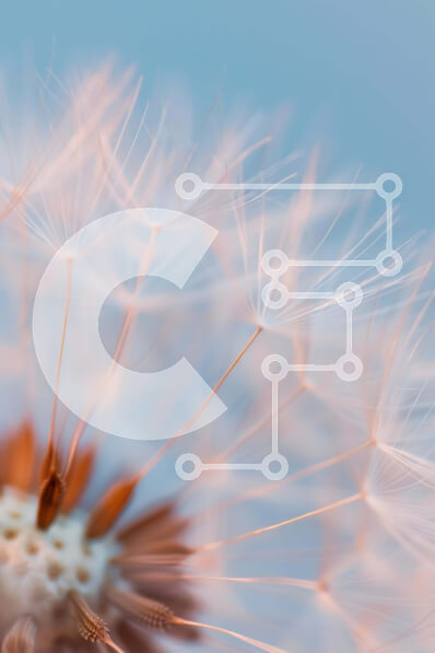 Σετ των 2 Intra Συλλεκτικό Ξύλινο Παζλ Plywood  4mm - Κοντινό πλάνο του λουλουδιού πικραλίδας με απλωμένα πέταλα και φτερά Σε Ξύλινο Κουτί - Διαστάσεις: 10x10 cm – 25 κομμάτια