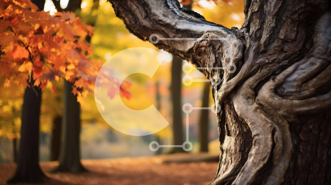 Intra Συλλεκτικό Ξύλινο Παζλ Plywood  4mm - Φθινοπωρινός κορμός δέντρου σε ένα πολύχρωμο δάσος Σε Ξύλινο Κουτί - Διαστάσεις: 10x10 cm – 25 κομμάτια