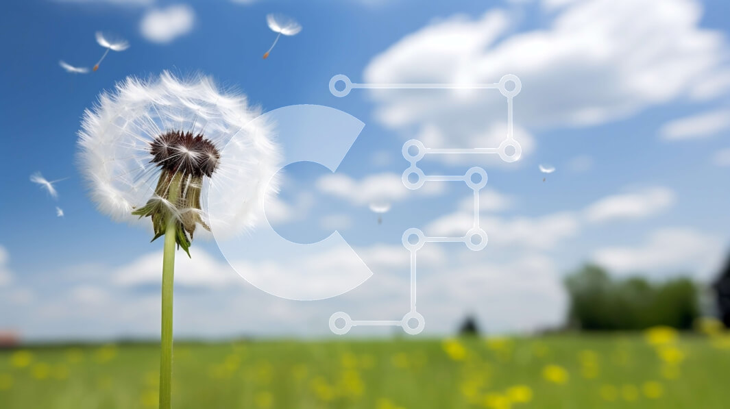 Intra Συλλεκτικό Ξύλινο Παζλ Plywood  4mm - Μονή πικραλίδα σε ανοιχτό χωράφι με γαλάζιο ουρανό και σύννεφα Σε Ξύλινο Κουτί - Διαστάσεις: 10x10 cm – 25 κομμάτια