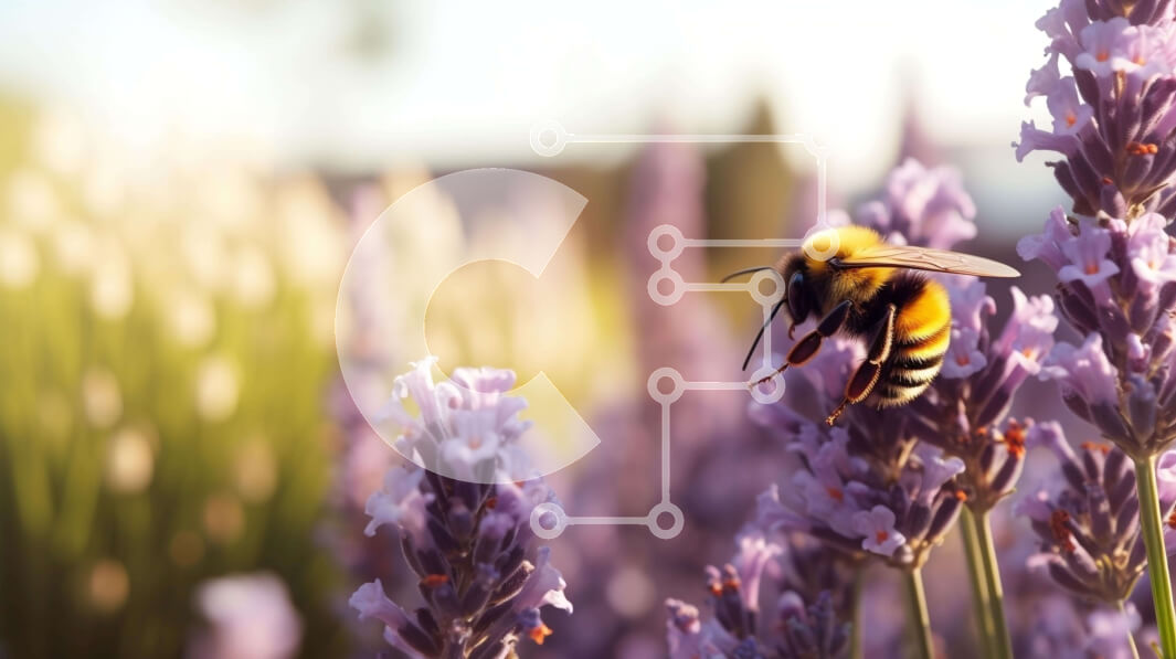 Intra Συλλεκτικό Ξύλινο Παζλ Plywood  4mm - Μέλισσα στα λουλούδια λεβάντας Σε Ξύλινο Κουτί - Διαστάσεις: 10x10 cm – 25 κομμάτια